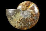Polished, Agatized Ammonite (Cleoniceras) - Madagascar #88154-1